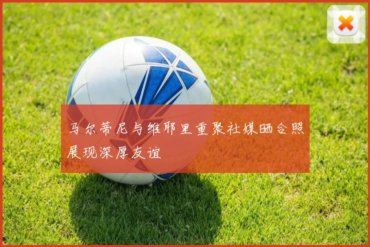 马尔蒂尼与维耶里重聚社媒晒合照展现深厚友谊