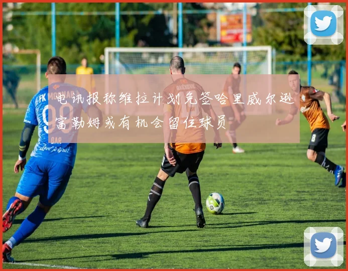 电讯报称维拉计划免签哈里威尔逊富勒姆或有机会留住球员
