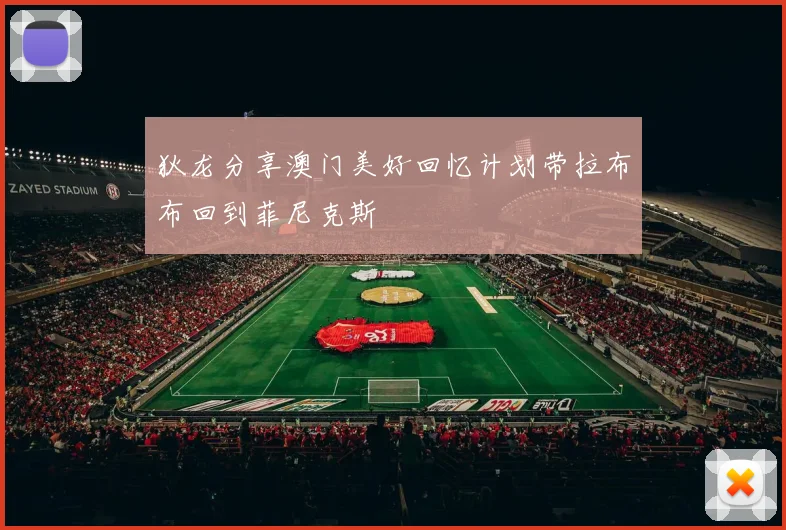 狄龙分享澳门美好回忆计划带拉布布回到菲尼克斯